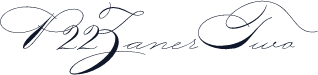 P22ZanerTwo