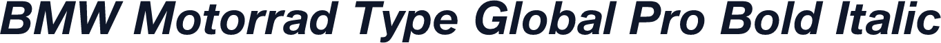 BMW Motorrad Type Global Pro Bold Italic