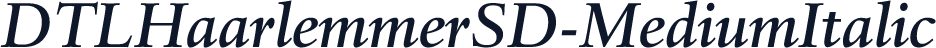 DTLHaarlemmerSD-MediumItalic