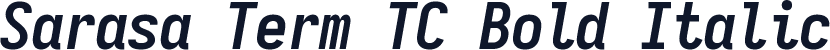 Sarasa Term TC Bold Italic