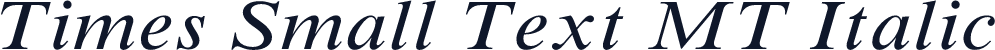 Times Small Text MT Italic