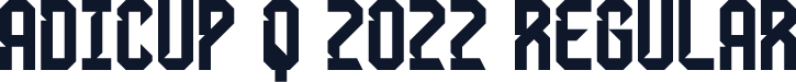 AdiCup Q 2022 Regular
