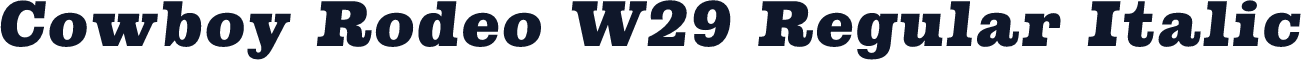 Cowboy Rodeo W29 Regular Italic