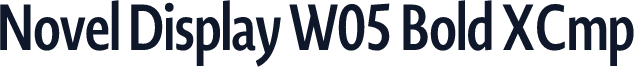 Novel Display W05 Bold XCmp