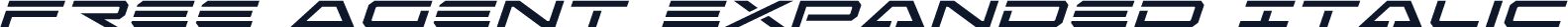 Free Agent Expanded Italic