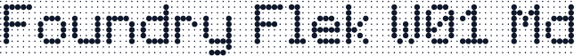 Foundry Flek W01 Md