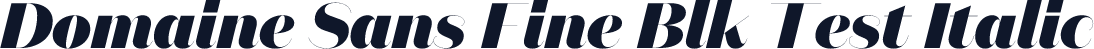 Domaine Sans Fine Blk Test Italic