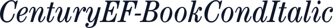 CenturyEF-BookCondItalic