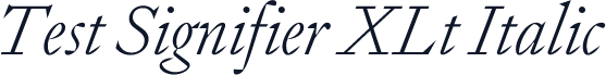 Test Signifier XLt Italic