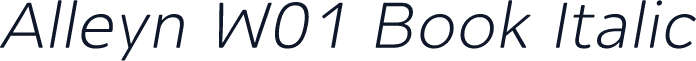 Alleyn W01 Book Italic