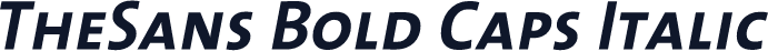 TheSans Bold Caps Italic