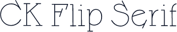 CK Flip Serif