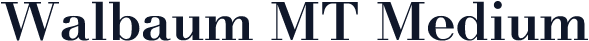 Walbaum MT Medium