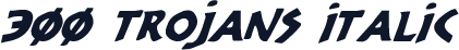 300 Trojans Italic