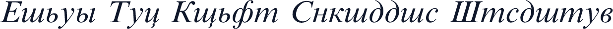 Times New Roman Cyrillic Inclined