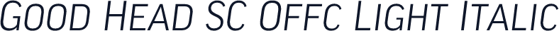 Good Head SC Offc Light Italic