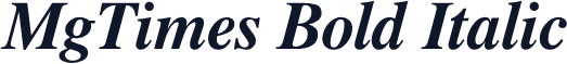 MgTimes Bold Italic