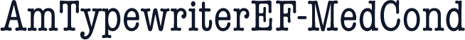 AmTypewriterEF-MedCond