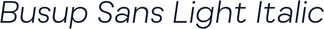 Busup Sans Light Italic