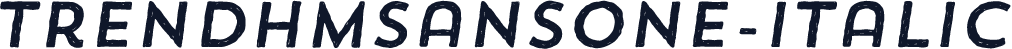 TrendHMSansOne-Italic