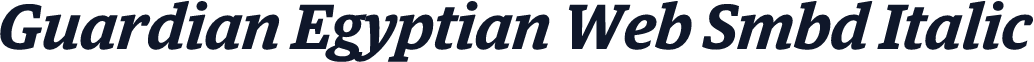 Guardian Egyptian Web Smbd Italic