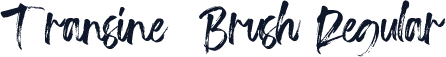 Transine  Brush Regular