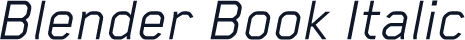 Blender Book Italic