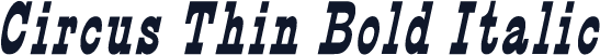 Circus Thin Bold Italic