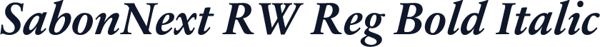 SabonNext RW Reg Bold Italic