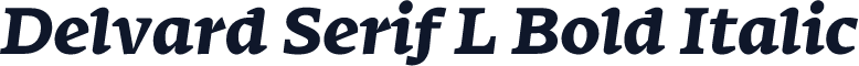 Delvard Serif L Bold Italic