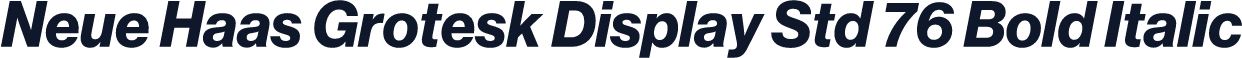 Neue Haas Grotesk Display Std 76 Bold Italic