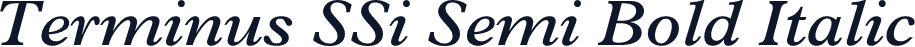 Terminus SSi Semi Bold Italic