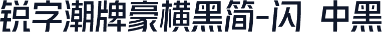 锐字潮牌豪横黑简-闪 中黑