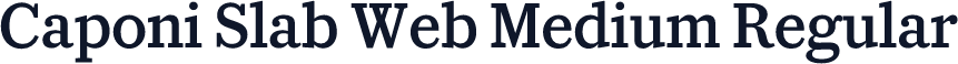 Caponi Slab Web Medium Regular