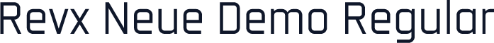 Revx Neue Demo Regular