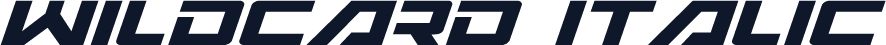 Wildcard Italic