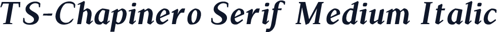 TS-Chapinero Serif Medium Italic