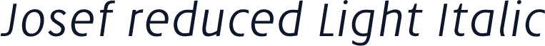 Josef reduced Light Italic