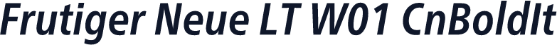 Frutiger Neue LT W01 CnBoldIt