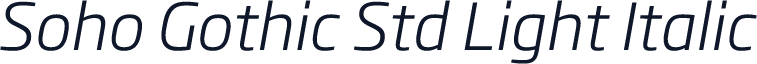 Soho Gothic Std Light Italic