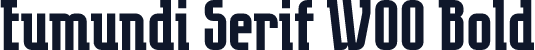 Eumundi Serif W00 Bold
