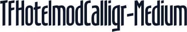 TFHotelmodCalligr-Medium