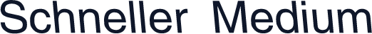 Schneller Medium