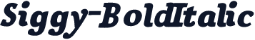Siggy-BoldItalic