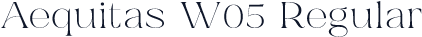 Aequitas W05 Regular