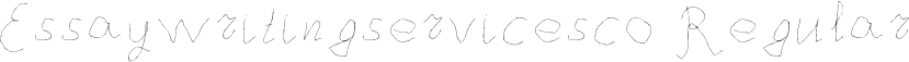 Essaywritingservicesco Regular