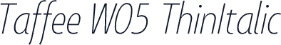 Taffee W05 ThinItalic