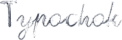 Typochok