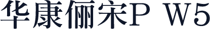 华康俪宋P W5