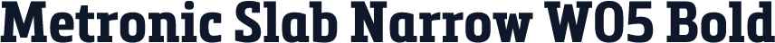Metronic Slab Narrow W05 Bold